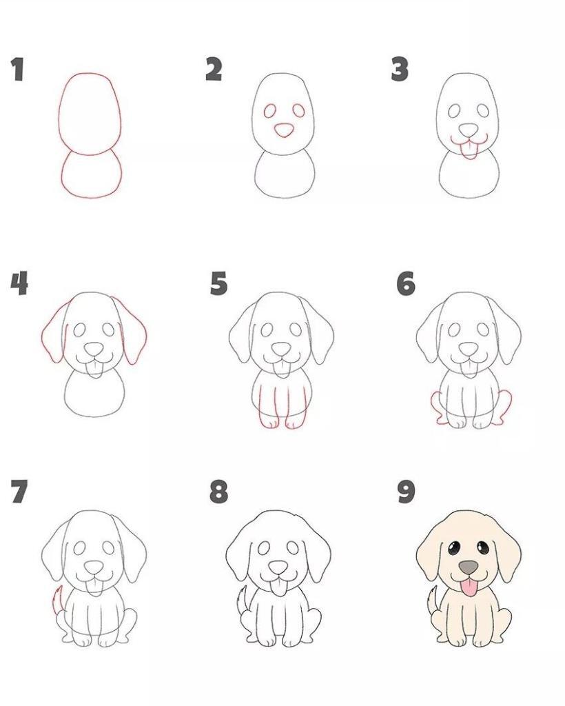 hoe stap voor stap een puppy tekenen