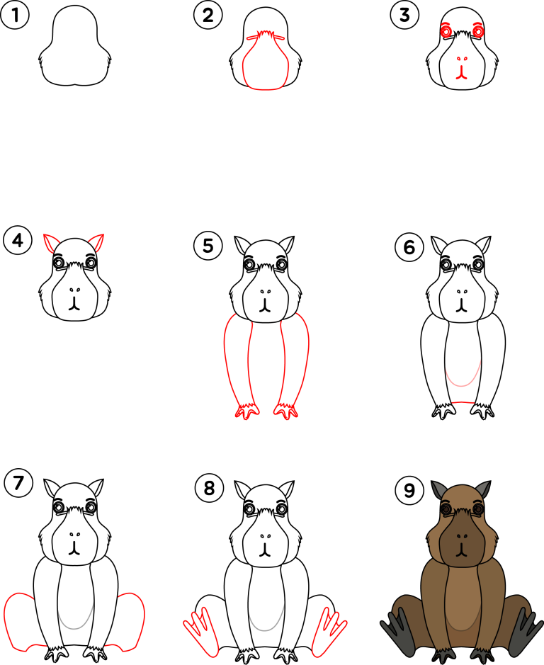 Set