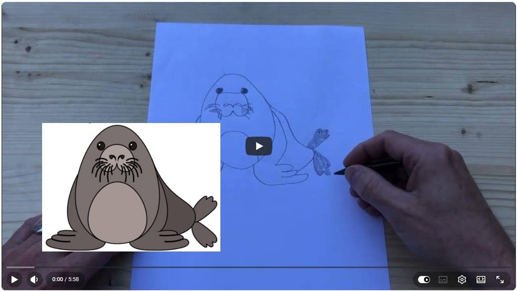 Hoe stap voor stap een zeehond tekenen thumbnail